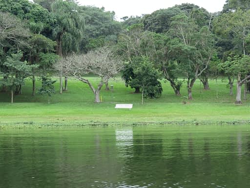 Lago do Parque do Ibirapuera. Onde você pode mostrar que existe amor em São Paulo.